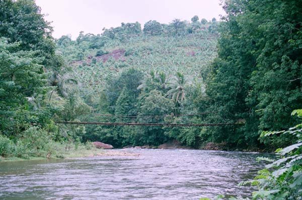 Kerala Homestay