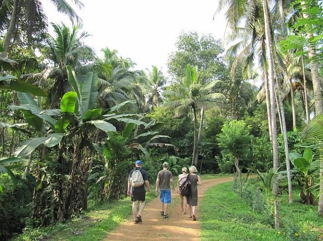 Kerala Homestay