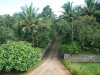 Kerala Homestay